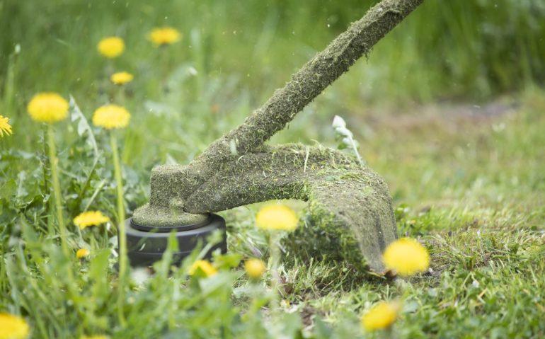 Mowing a lawn with a lawn mower. Garden work concept background.